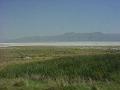 The playa